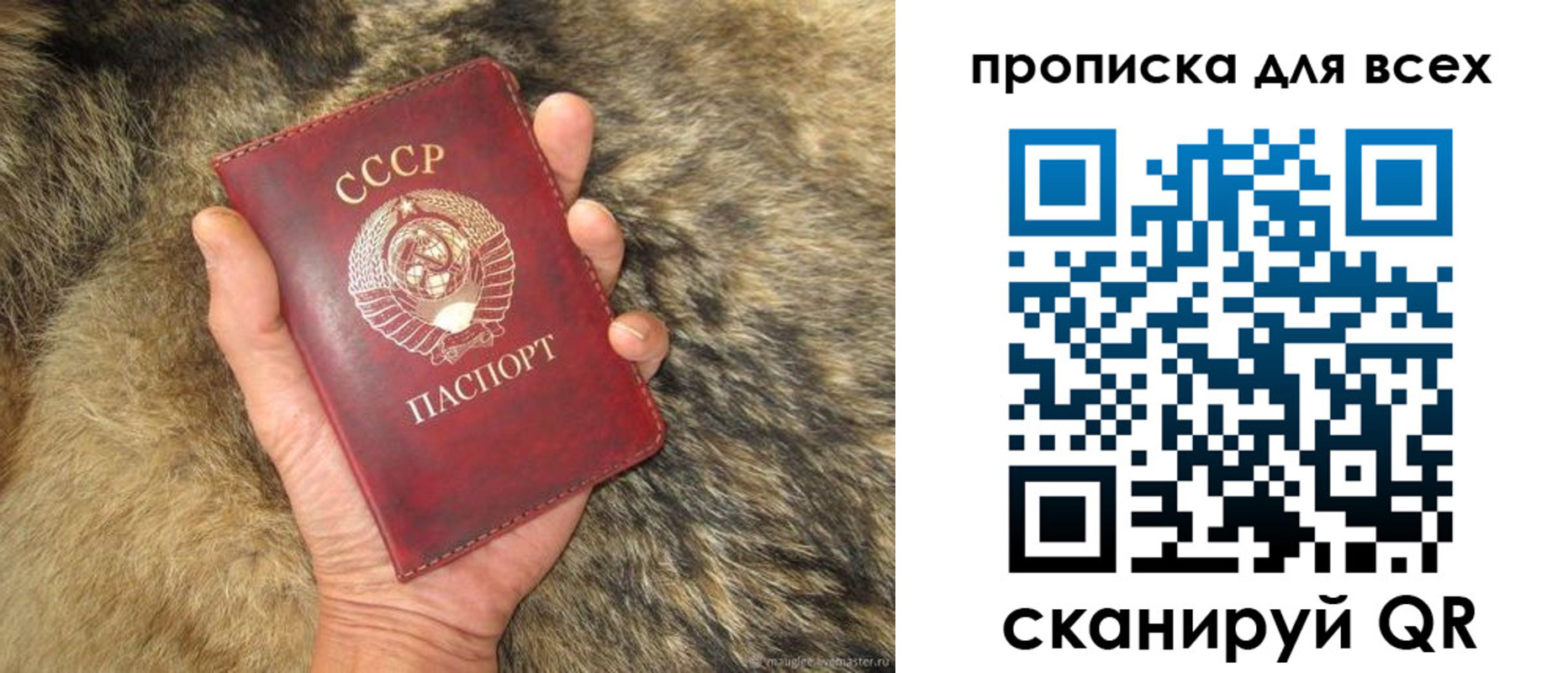 прописка в квартире в Кропоткине